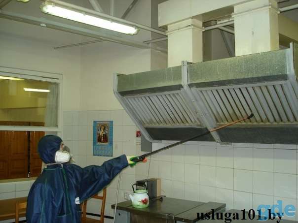 Уничтожение (травля) насекомых,  грызунов (крысы, мыши, тараканы, муравьи, клещи, блохи, комары, осы), фотография 2