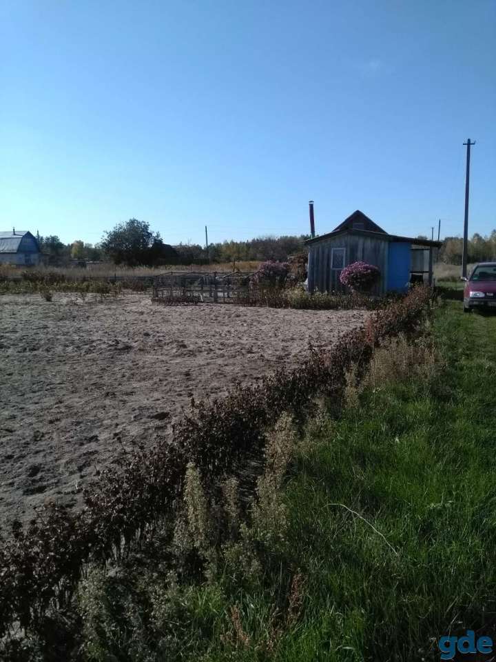 Дача возле д.Васьковка, фотография 2
