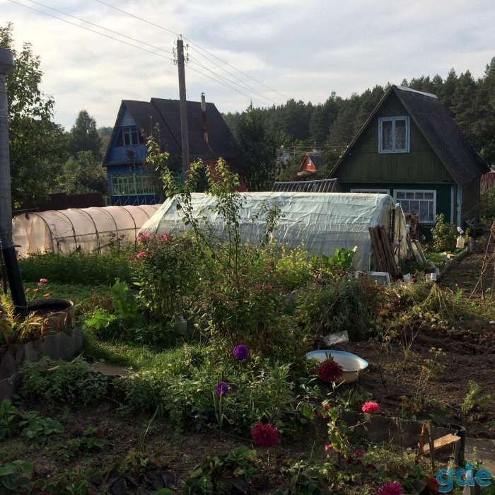 Дача, Гродненская область, Немейши, фотография 2