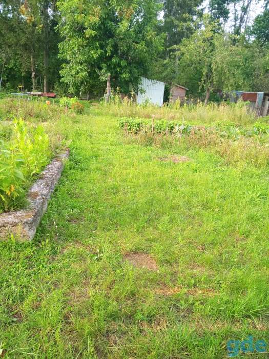 Продам дачный участок, фотография 3