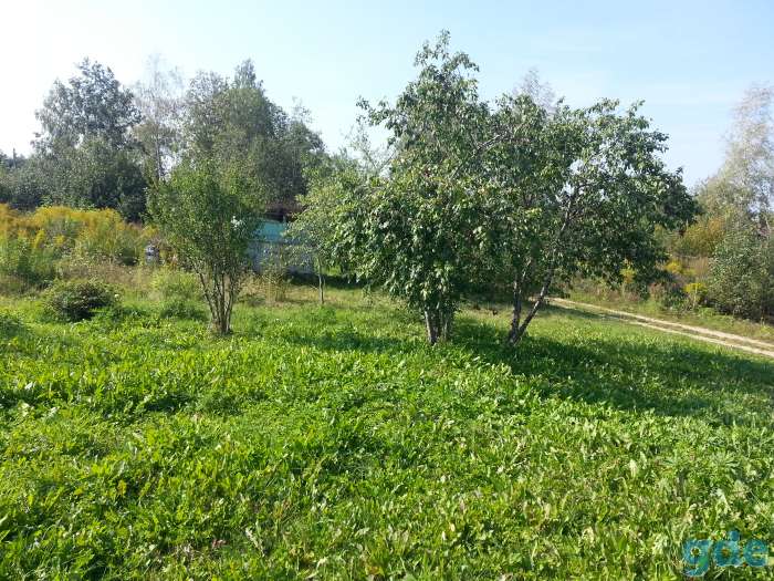 Продам участок 10 соток, 21 км от МКАД., с/т Лесное, фотография 8