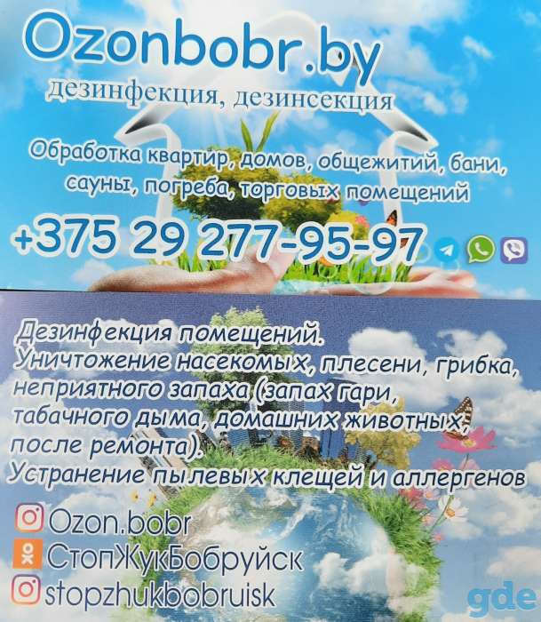 Уничтожение постельных клопов,тараканов,блох,клещей., фотография 3