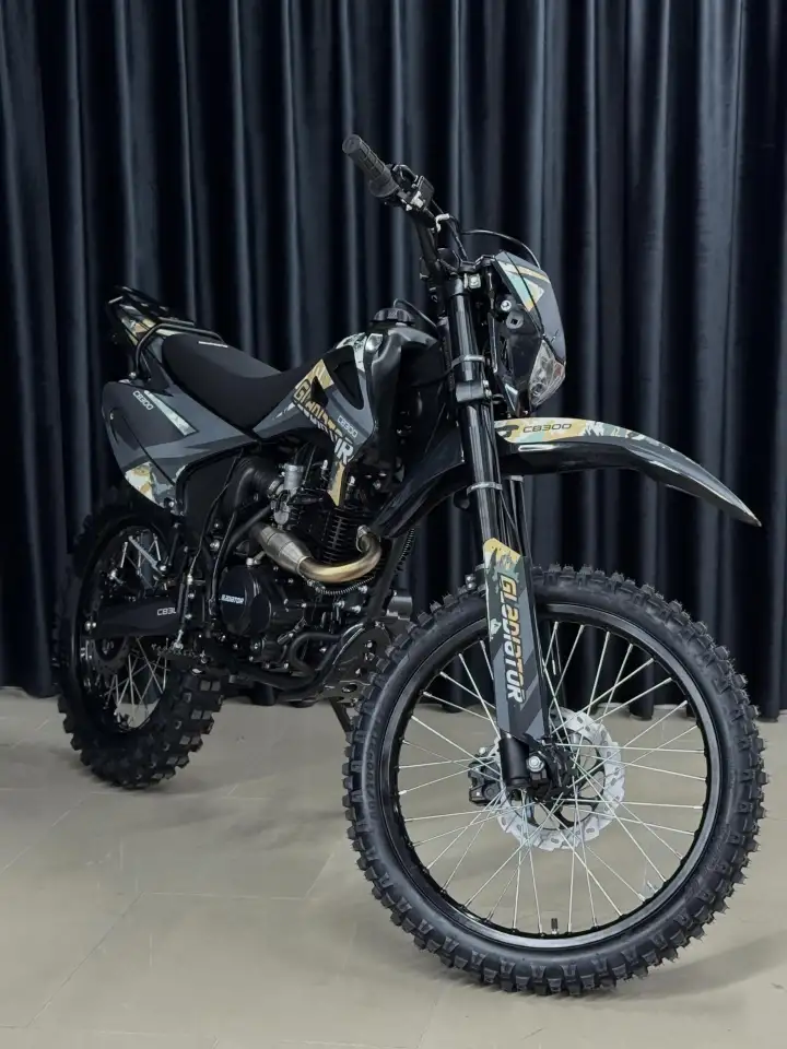 Мотоцикл GLADIATOR C3 CB300, фотография 8