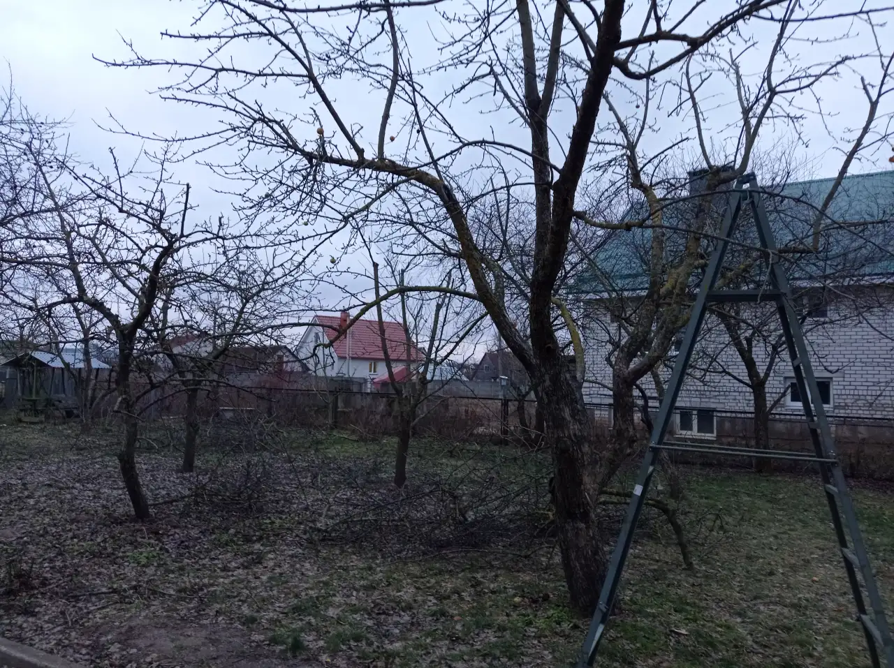 Садовник, фотография 2