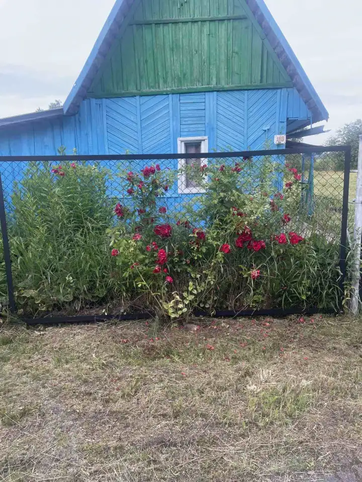 Продам дачу, Мозырский район д. Большие Зимовище, фотография 1
