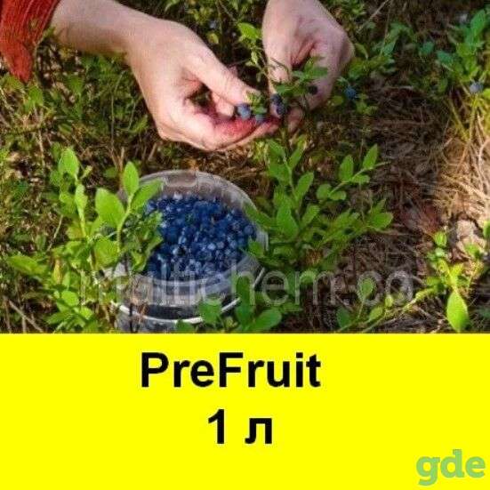 Консервант плодов, антитранспирант фруктов. PreFruit, фотография 1