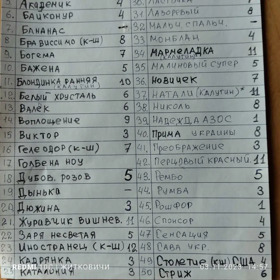 черенки и саженцы винограда белпочта, фотография 5