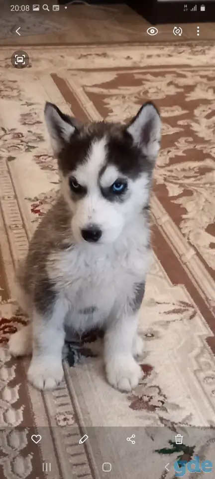 Продажа, фотография 1