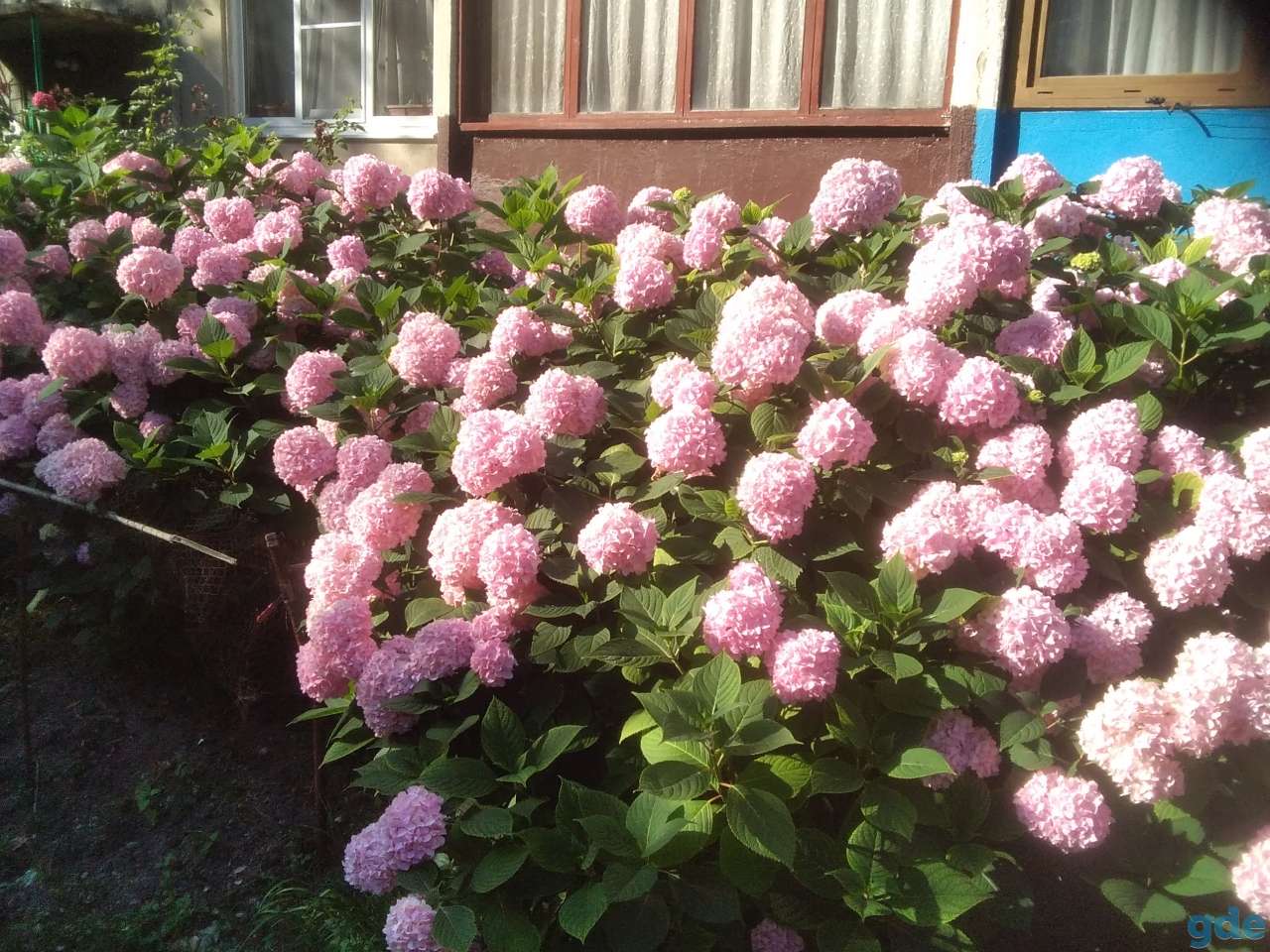 квартира у самого Чёрного моря, посёлок в Лазаревском, Сочи, фотография 1