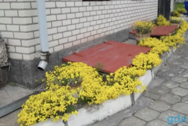 Продам дом, Лейлубка, ул. Зелёная, 2, фотография 1