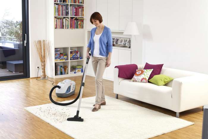 Пылесос с аквафильтром Karcher DS 6000 Mediclean (+турбощетка), фотография 1