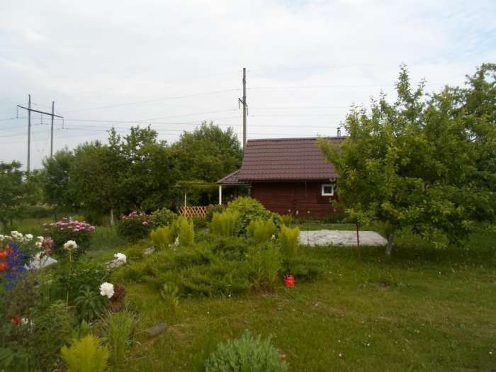 Продается дача в СТ Минобороны в Смолевичском районе, фотография 8