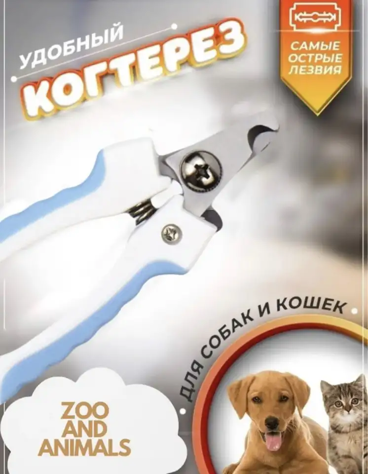 Котенок, фотография 6