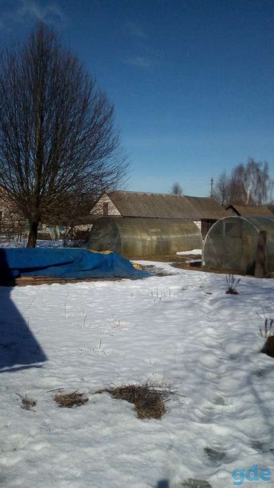 недвижимость, обл., Воложинский р-н,, фотография 3