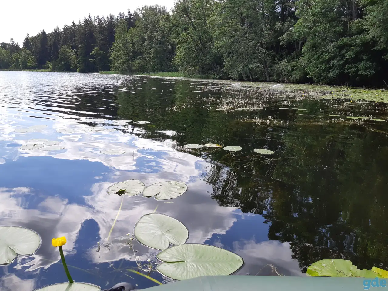 Дом с участком, д. Ёди дом 7 район Гродненская область, фотография 5