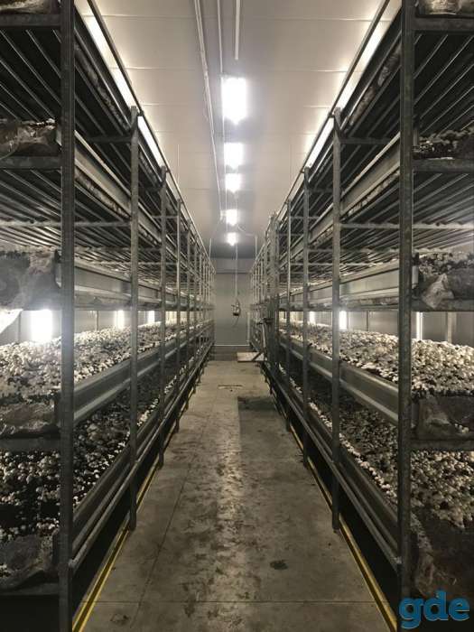 Продается фабрика, Гродненский р-н, д. Брузги, Одельский с/с, 4, фотография 7