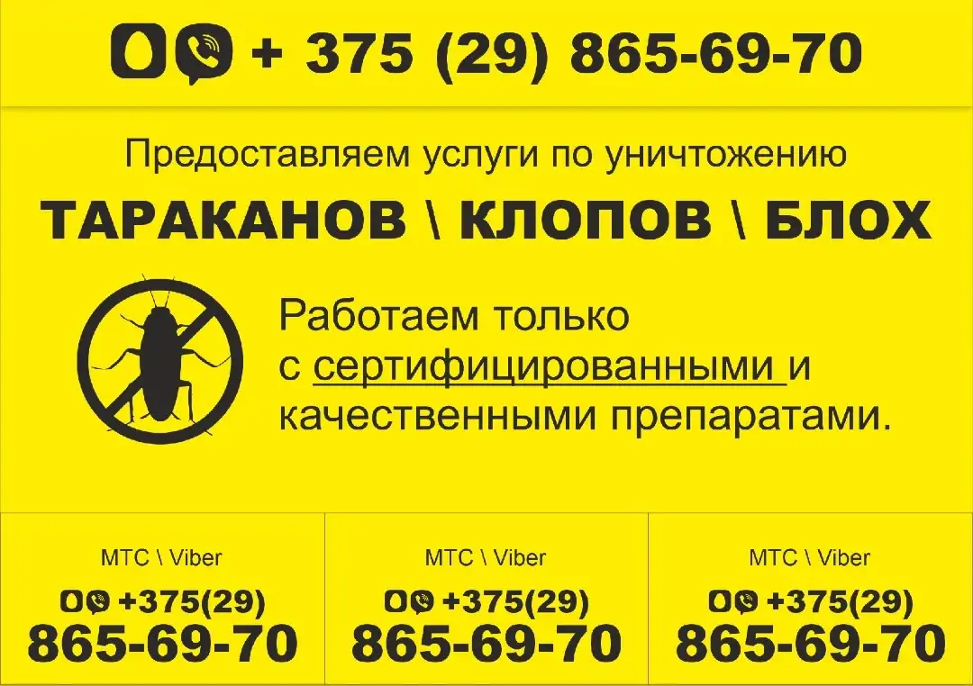 Уничтожаем насекомых и грызунов., фотография 2