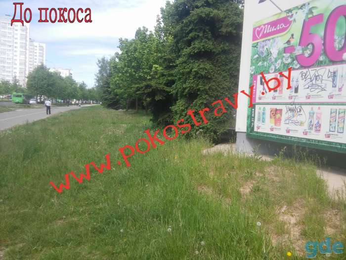 Покос травы и стрижка газона, скашивание бурьяна в Минске и области, фотография 1