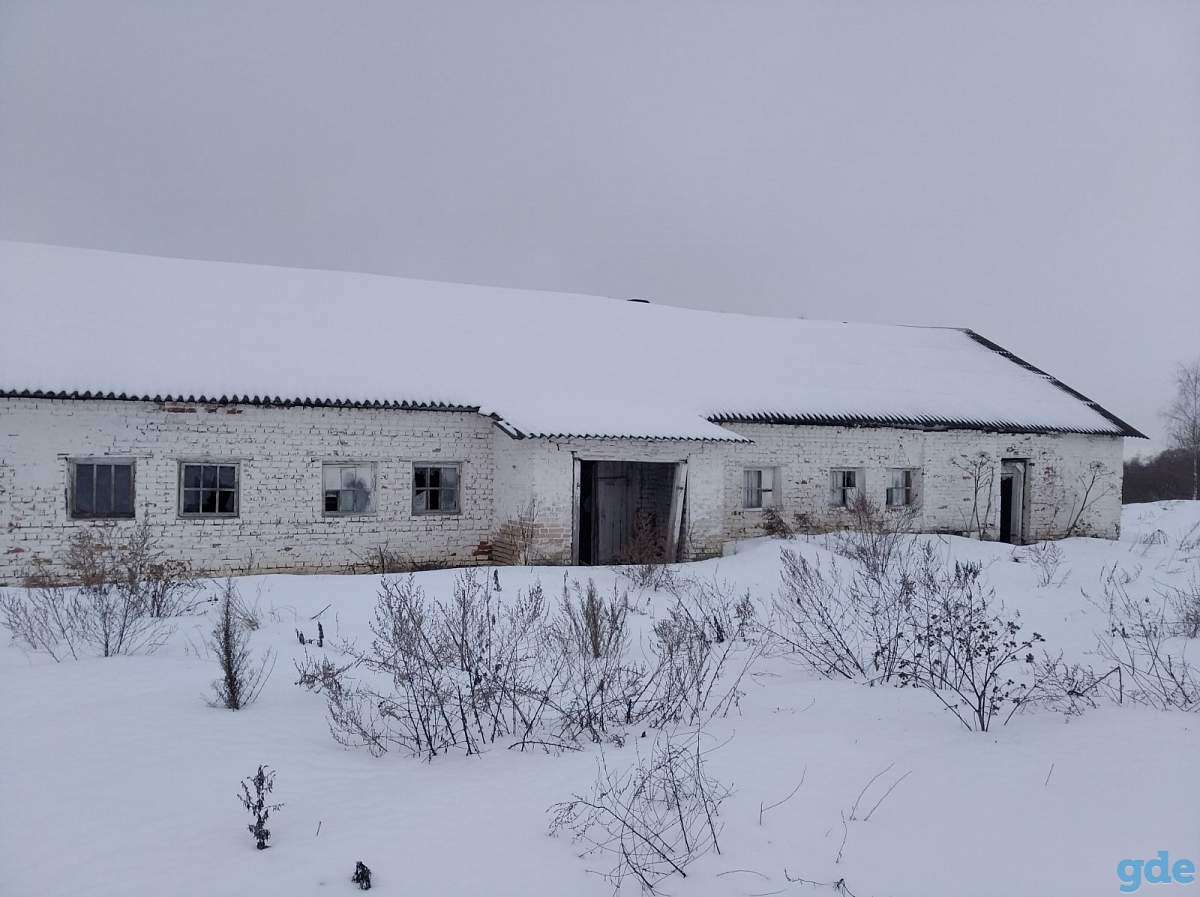 Недвижимое имущество ОАО «Бешенковичи агросервис», фотография 8