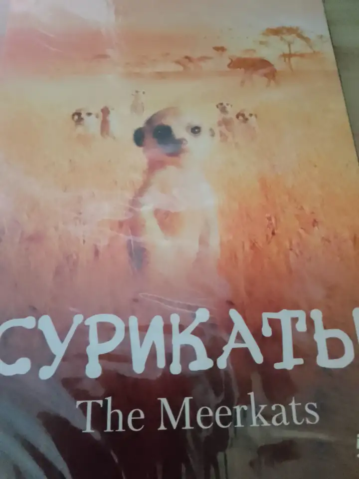 Ди-ви-ди диск Сурикаты, фотография 2
