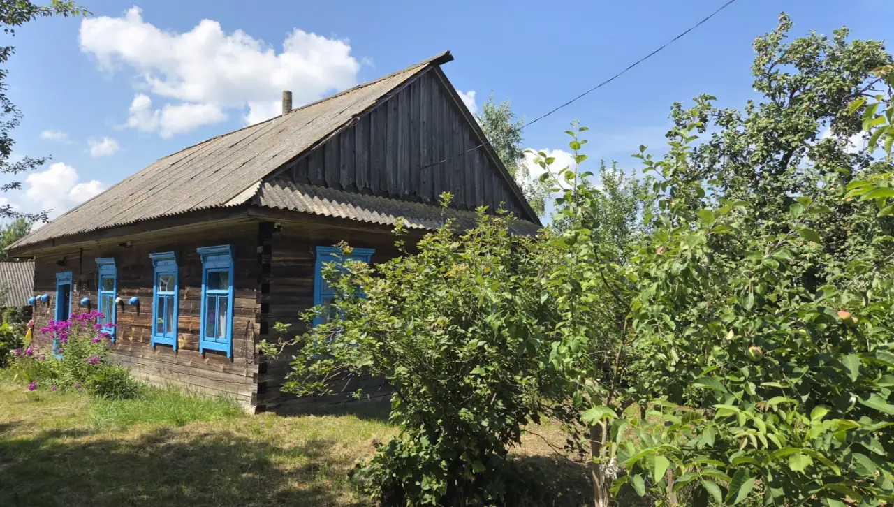 Хутор у озера и леса, деревня Заболотники, Синявский сельсовет, район, Минская область, фотография 1
