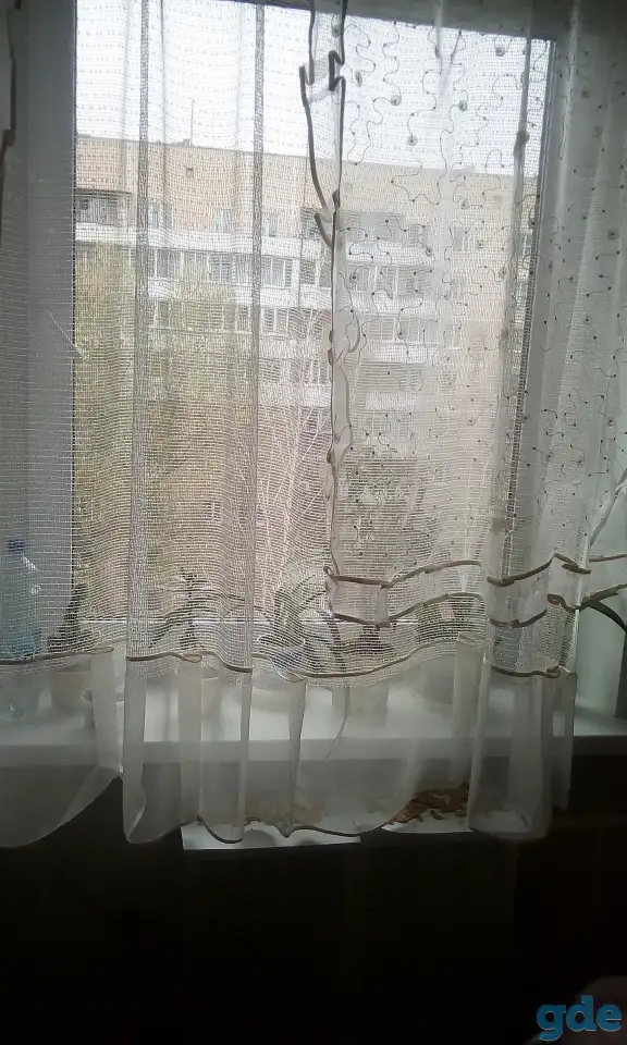 Сдам комнату для девушки, пр-т Строителе д 18 к 2, фотография 5