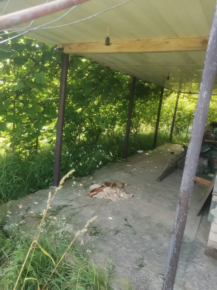 Дача в Витебской области, садовое товарищество Лесное, фотография 2