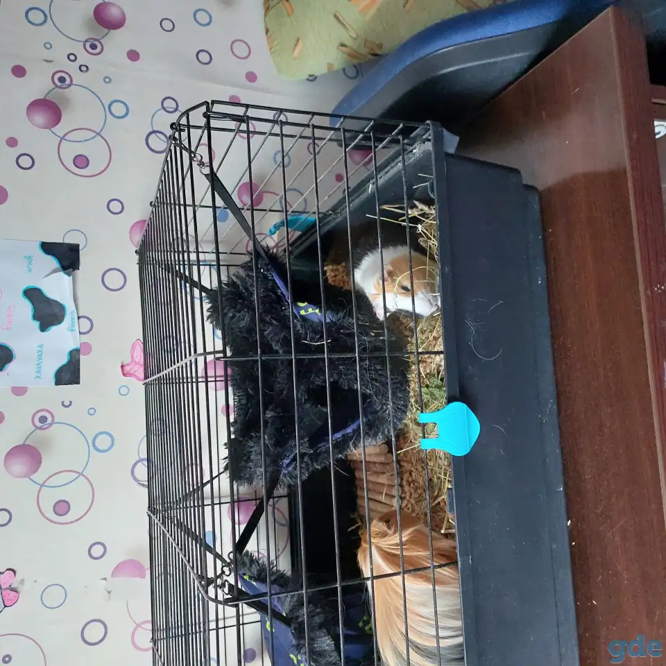 Продаем, фотография 4