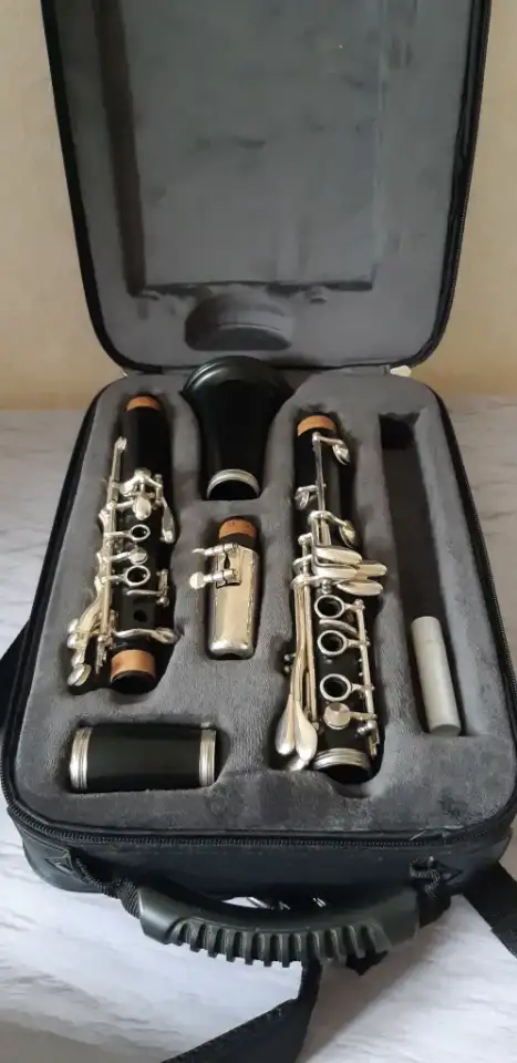 Кларнет Buffet Crampon Prodige, фотография 1