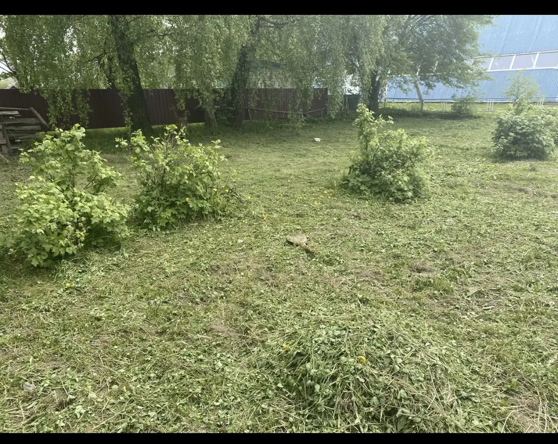 Дом, Центральная ул, 22, Зубово, Зубовский сельсовет, район, Ви, фотография 9