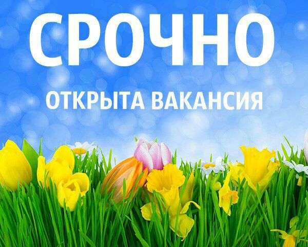 Работа с детьми, фотография 1