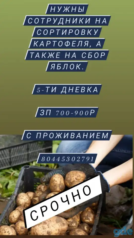 Работа вахтой в г.Минске, фотография 1