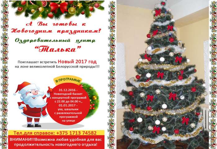 встреча Нового года, фотография 1