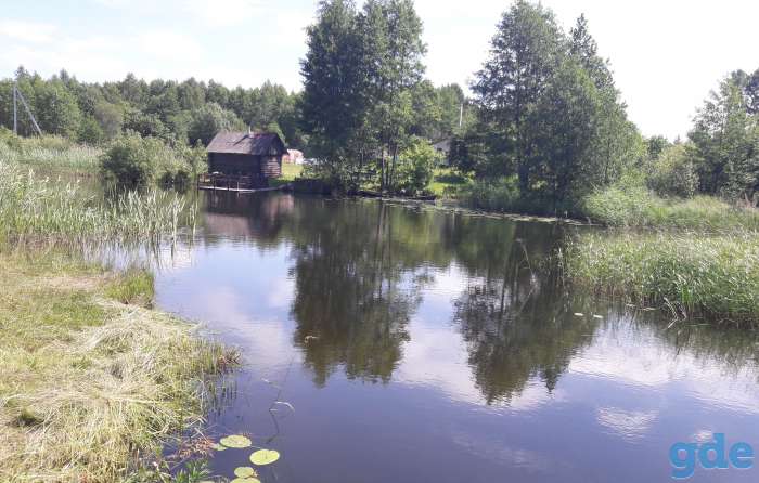 Сдается дом на Браславских озерах, д. Устье, фотография 12