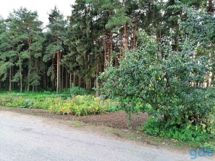 Продаётся дом г. Орша в хорошем райне, фотография 5