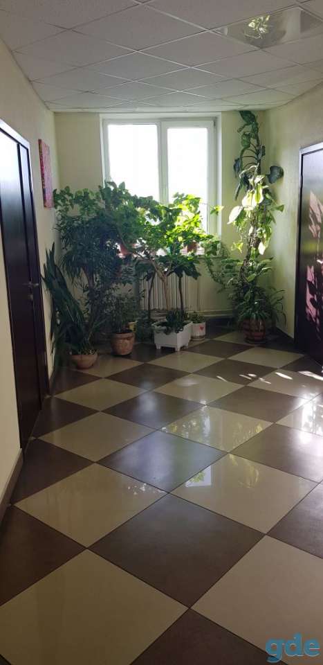 В аренду сдается офис 43 кв.м. Советский район, фотография 2