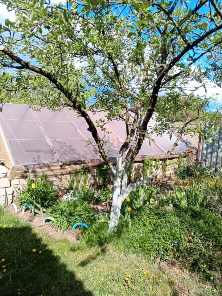 Продам дом  с газовым отоплением, фотография 7