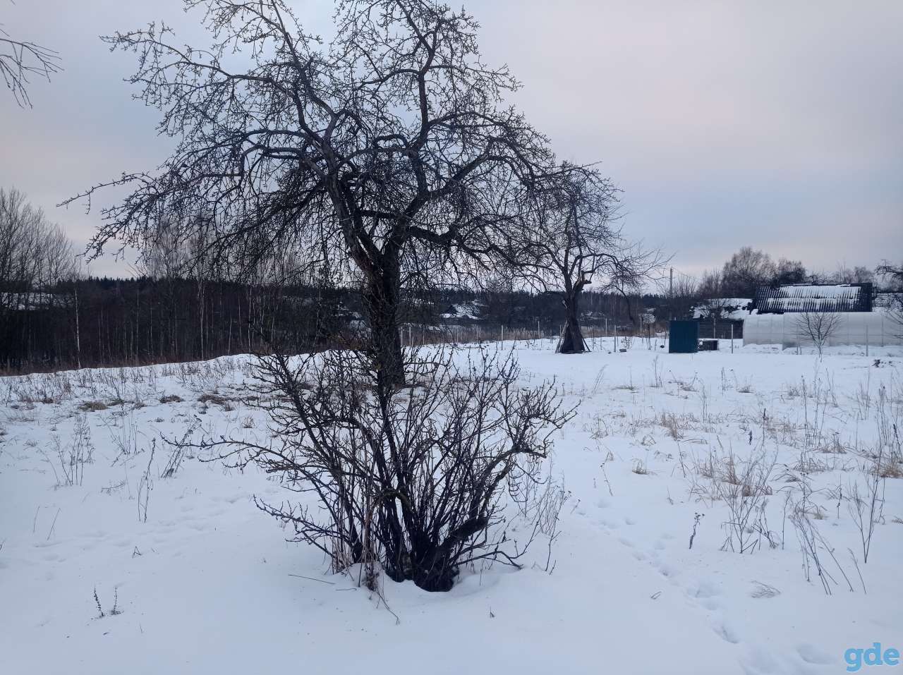 Продам участок (дом под снос), ул. Центральная д.29, фотография 4