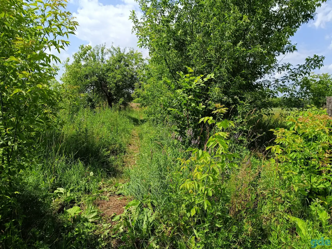 Участок с ветхим домом возле Бобруйска в а/г Любоничи, фотография 7