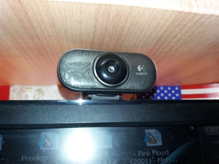 Web - камера Logitech C210, фотография 3
