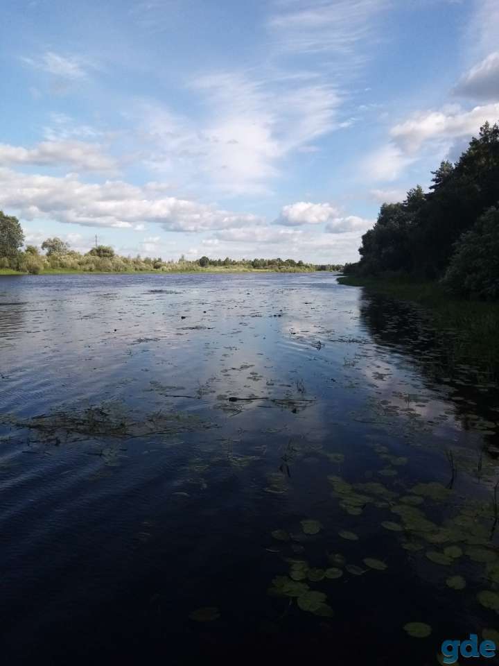 продажа участка, Минская обл., Березинский район, д. Бычин., фотография 1