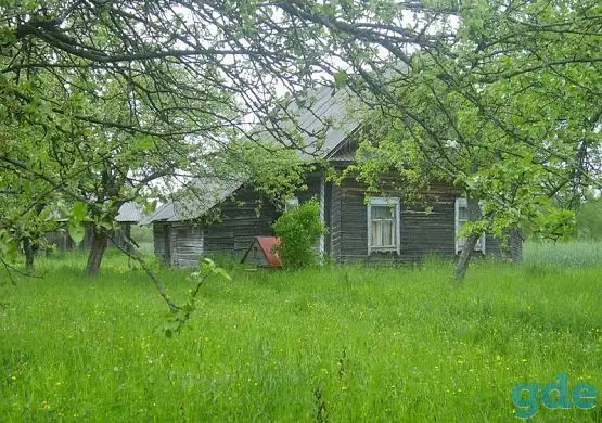 ДОМ продам, витебская обл, Миорский район, д Попки 11, фотография 1