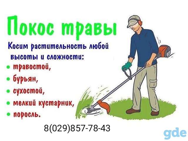 Покос травы и газона, фотография 1