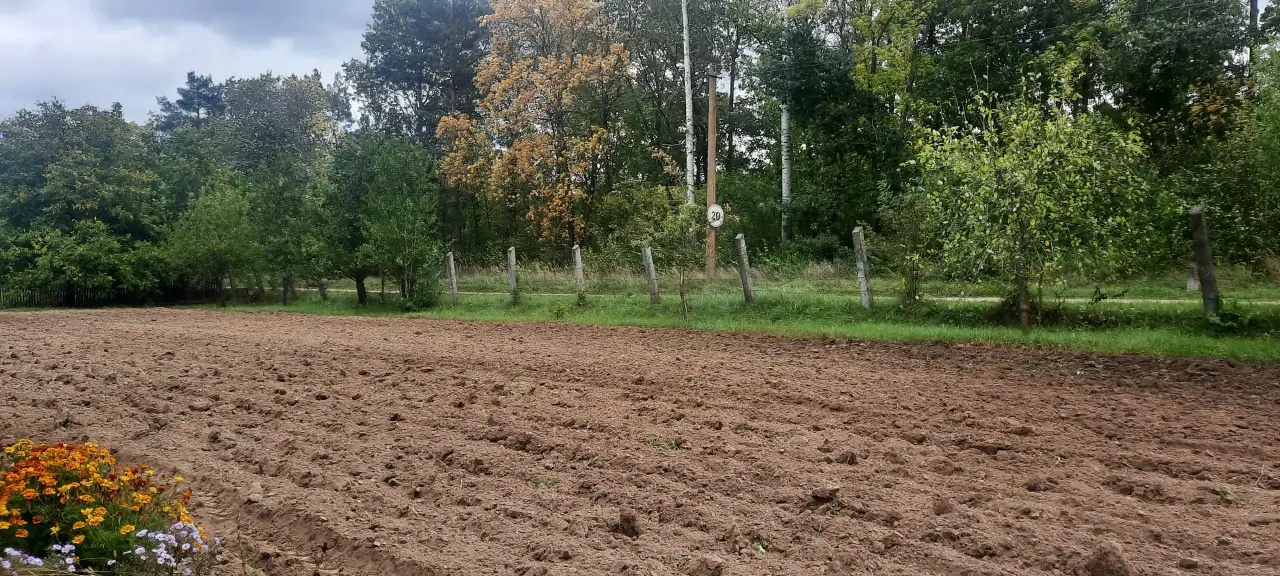 Продам дачу, ТО Темп деревня Скарчево, фотография 6