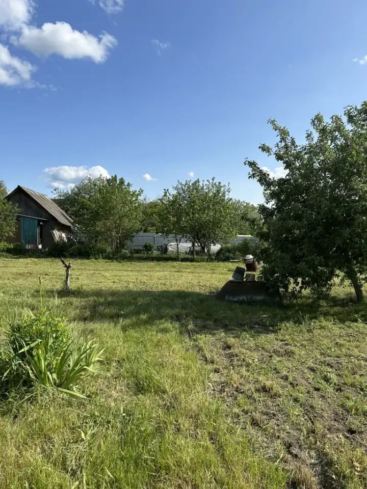 Продается деревянный дом с земельным участком в г. Чаусы Могилевской области, фотография 10