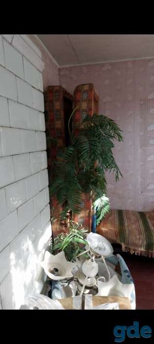 Продается дача в ближайшем пригороде г. Бреста (д.М.Косичи)84 кв.м., фотография 8