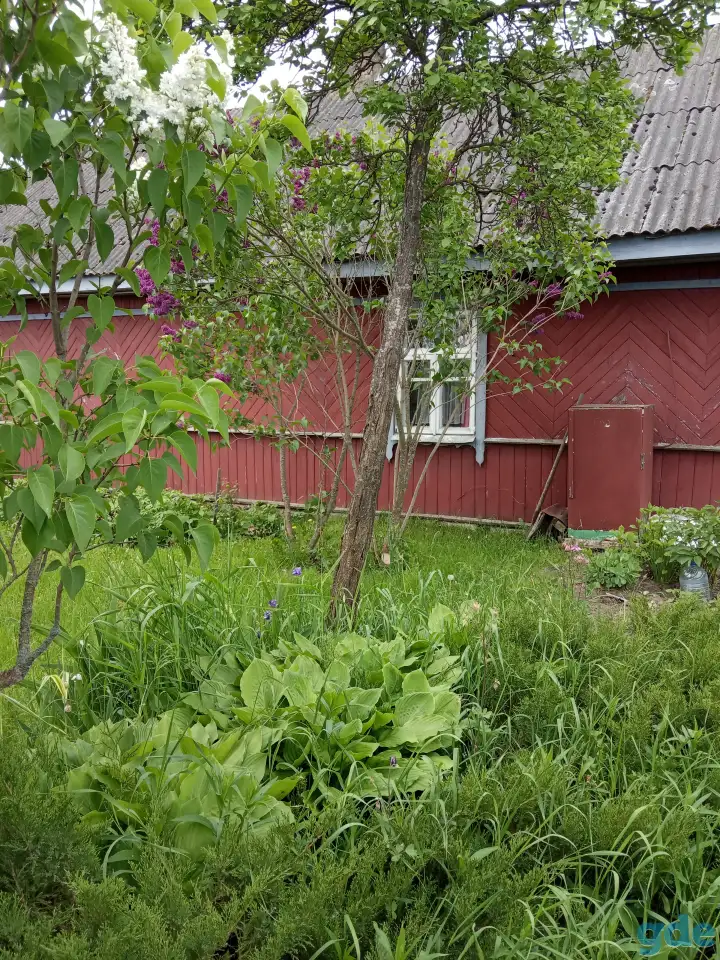 Продам дом в а.г.Шацк Пуховичского района, фотография 2
