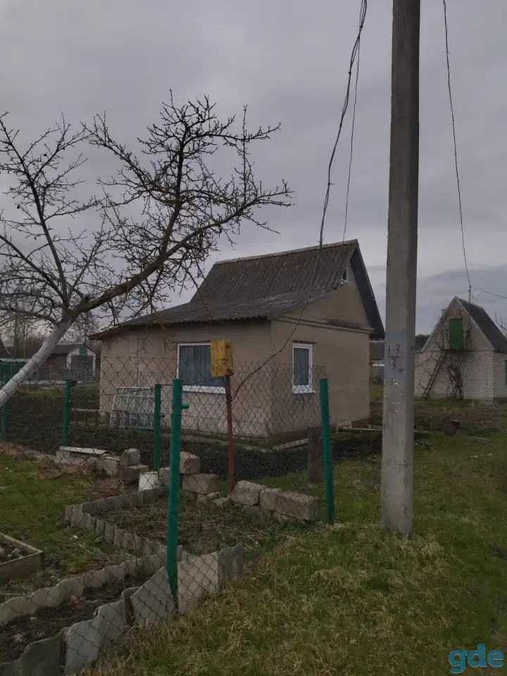 Дача, Гродненская обл. Козье горы