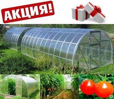 Теплица Северная 10х3х2+Подарок, фотография 1