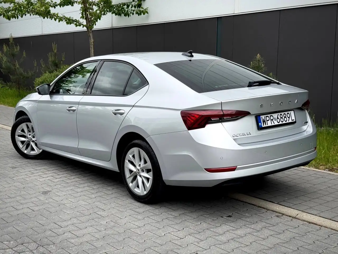 Skoda Octavia (IV) TSI  Импорт под ключ  Авто и Европы за 14 дней!, фотография 5